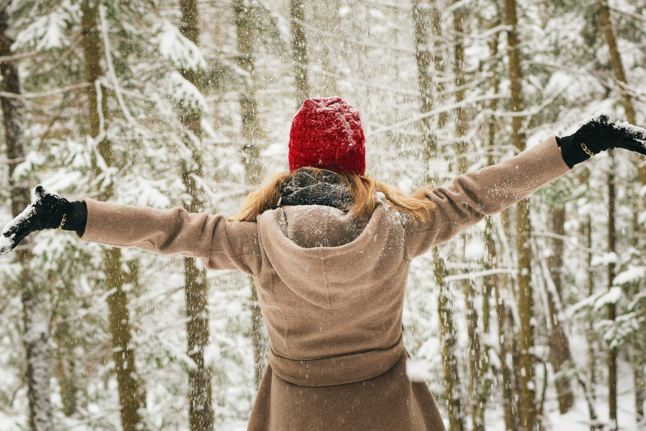 Enjoy Winter in Lansing